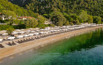 Camping Medveja