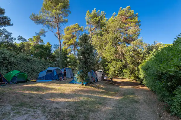 Autocamp Diana & Josip