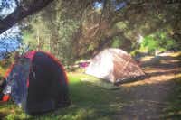 Autocamp Mungos  -  Wohnwagen- und Zeltstellplatz vom Campingplatz zwischen Bäumen mit Blick auf das Meer