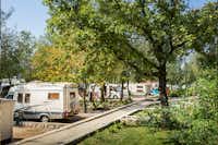 Autocamp Njivice - Wohnmobilstellplatz im Schatten der Bäume auf dem Campingplatz