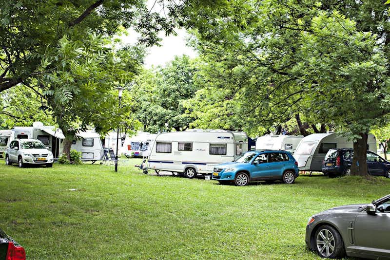 Autocamp Oaza  -  Wohnmobilstellplatz vom Campingplatz auf grüner Wiese