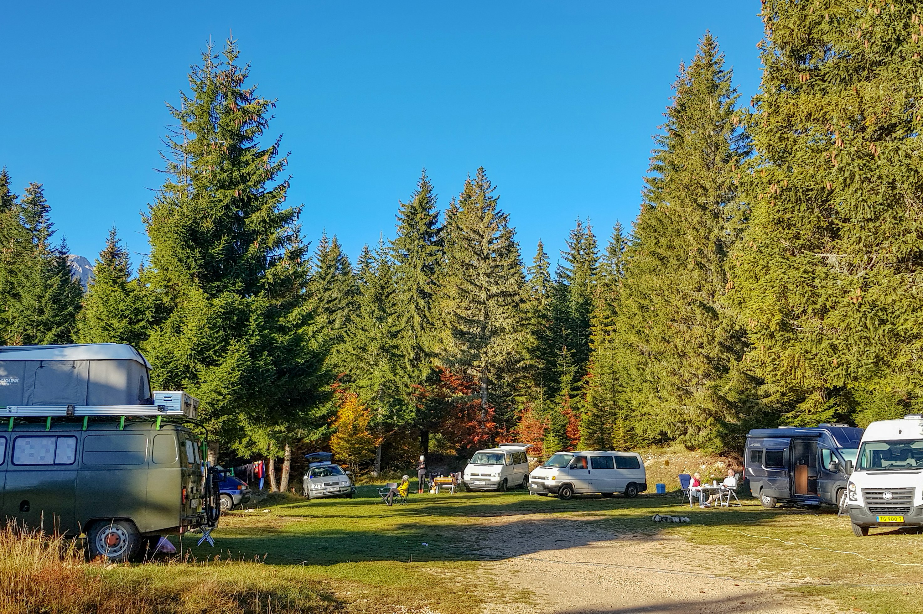 Autocamp Razvršje - Standplätze zwischen den Bäumen auf dem Campingplatz