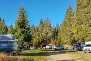 Autocamp Razvršje - Standplätze zwischen den Bäumen auf dem Campingplatz