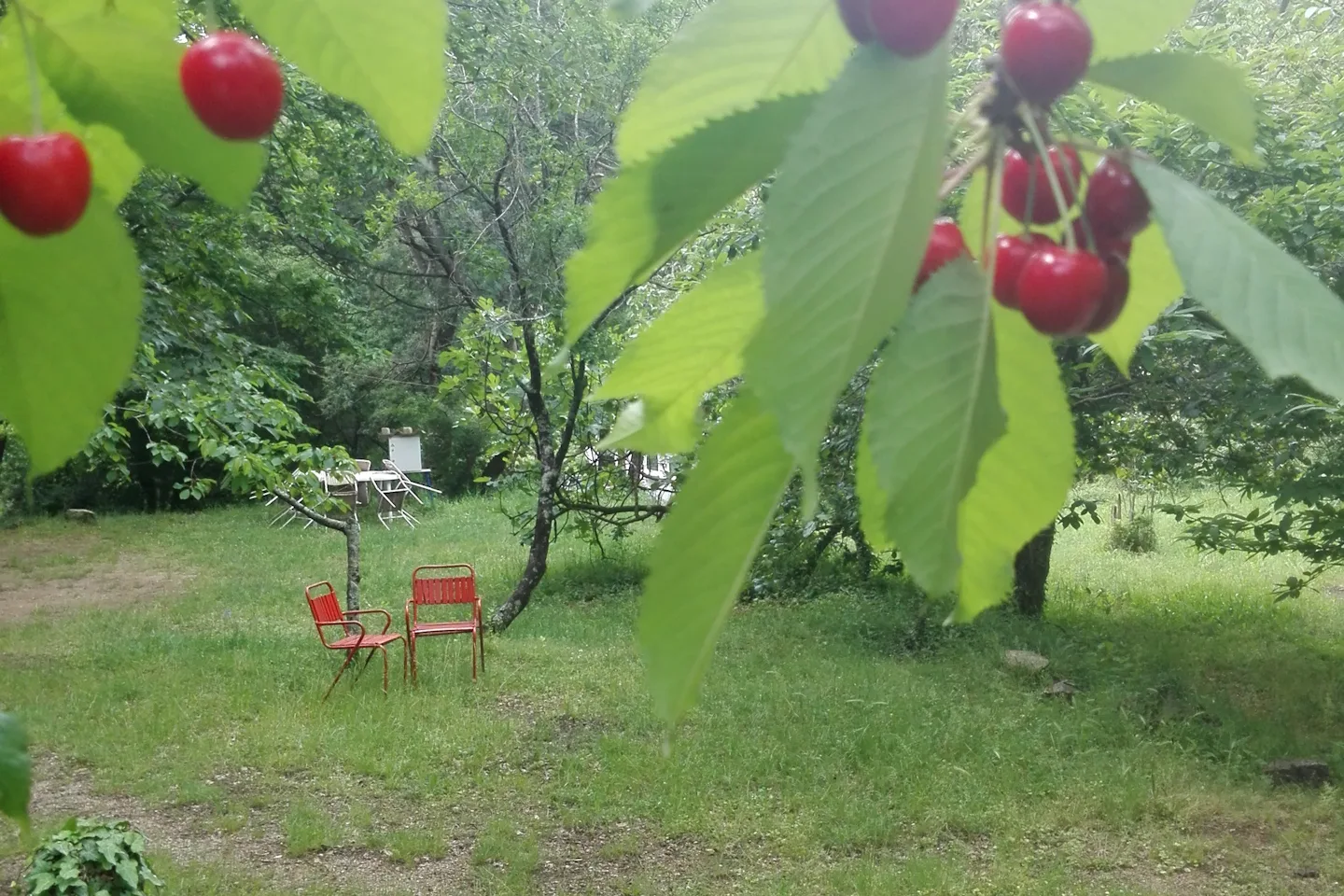 Autocamp Zelenika