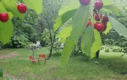 Autocamp Zelenika