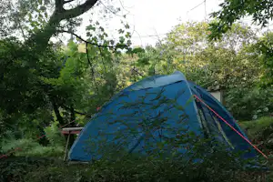 Autocamp Zelenika - Zeltplatz vom Campingplatz im Grünen