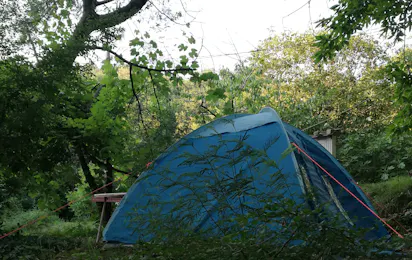 Autocamp Zelenika
