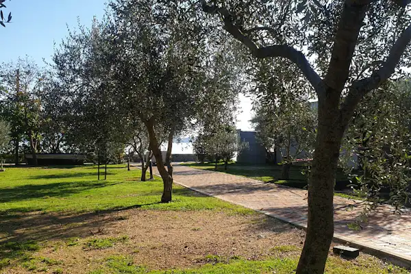 Autocamp Zlokovic