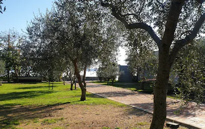 Autocamp Zlokovic