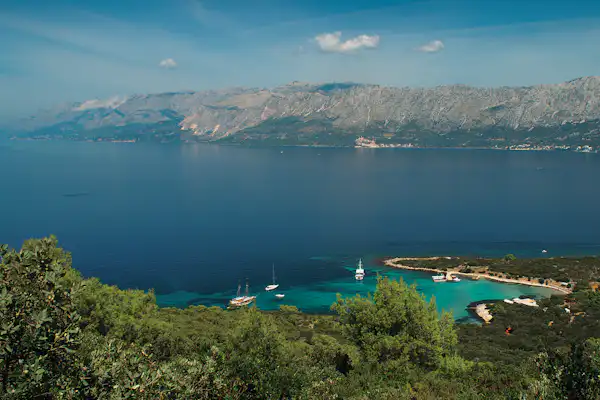 Camp Mlaska