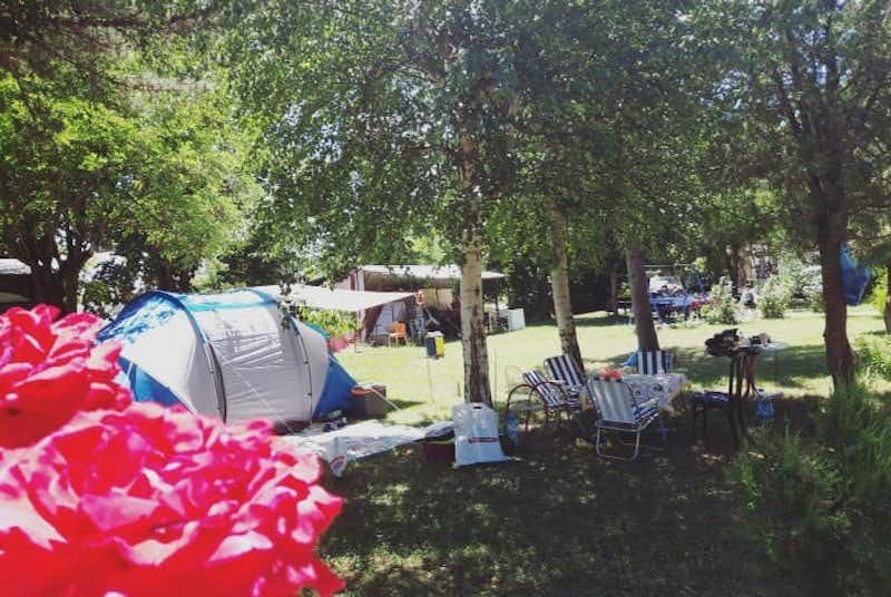 Autokamp Otesevo - Zeltwiese auf dem Campingplatz