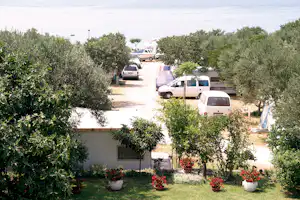 Wohnwagen und Autos auf einem Campingplatzweg, umgeben von Büschen und Blumen in Töpfen.