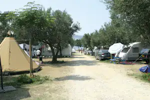 Zelt am Campingplatz, daneben Wohnwagen und Autos, schattige Olivenbäume und ein Kiesweg zwischen den Stellplätzen.