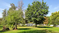 Natur & City Camping Ellwangen