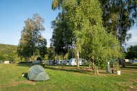 AZUR Campingpark Wertheim am Main - Platzuebersicht