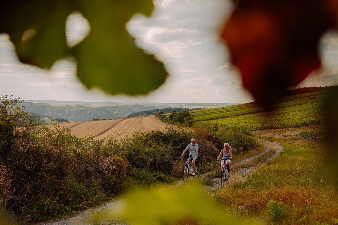 AZUR Rosencamping Schwäbische Alb - Älteres Paar beim Radfahren durch die Weinberge