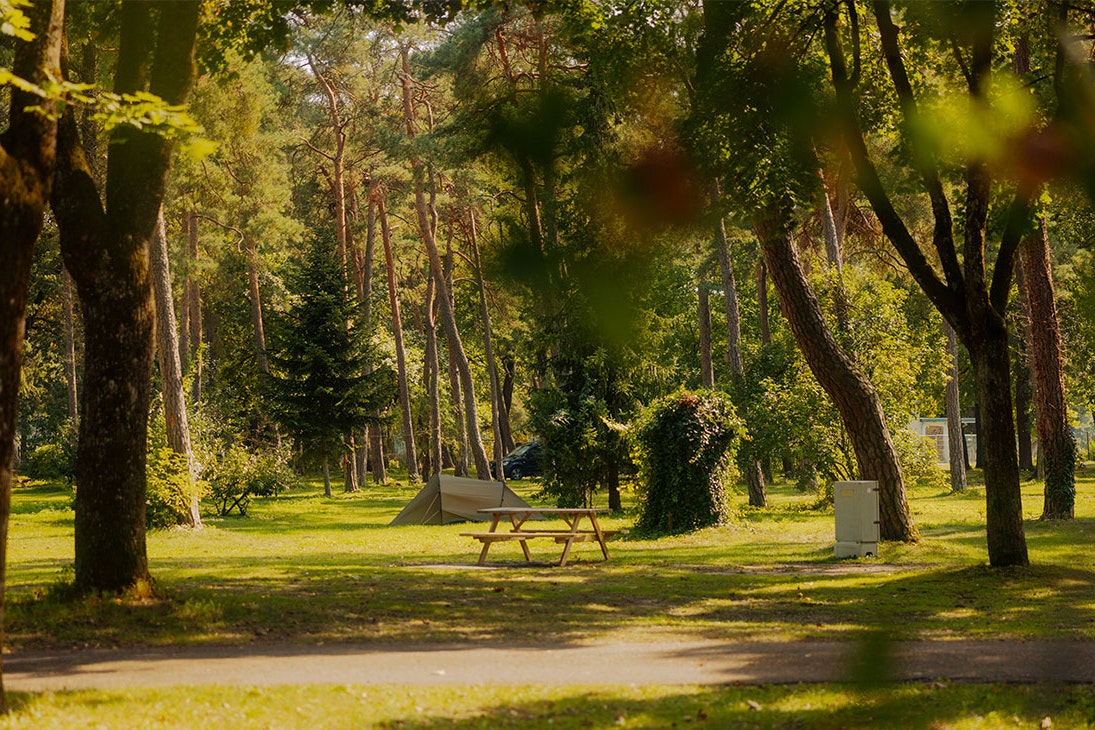 Azur Camping Ingolstadt  AZUR Waldcamping Auwaldsee - Zeltplätze zwischen den Bäumen