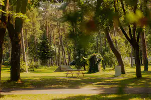 Azur Camping Ingolstadt AZUR Waldcamping Auwaldsee - Zeltplätze zwischen den Bäumen
