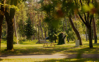AZUR Camping Ingolstadt
