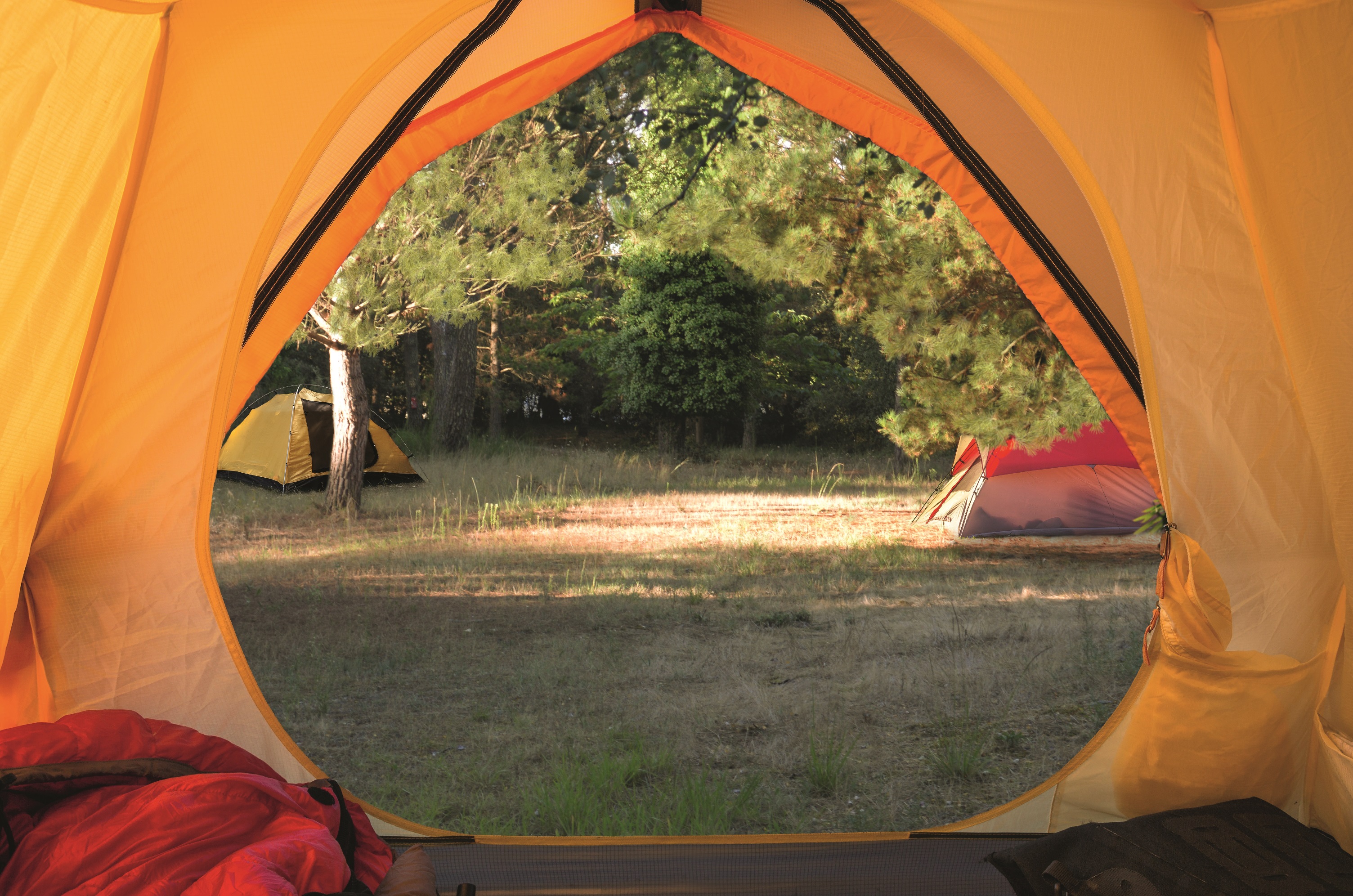 Azureva Oléron Camping