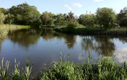 Back of Beyond Touring, Camping and Glamping Park
