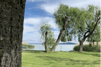 Badacsony Camping - Blick auf den See, davor Bäume 
