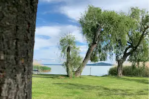 Badacsony Camping - Blick auf den See, davor Bäume