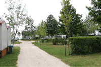 Badacsony Camping - Blick auf die Standplätze mit Wohnwagen und Wohnmobilen, durch Hecken und Bäumen voneinander getrennt