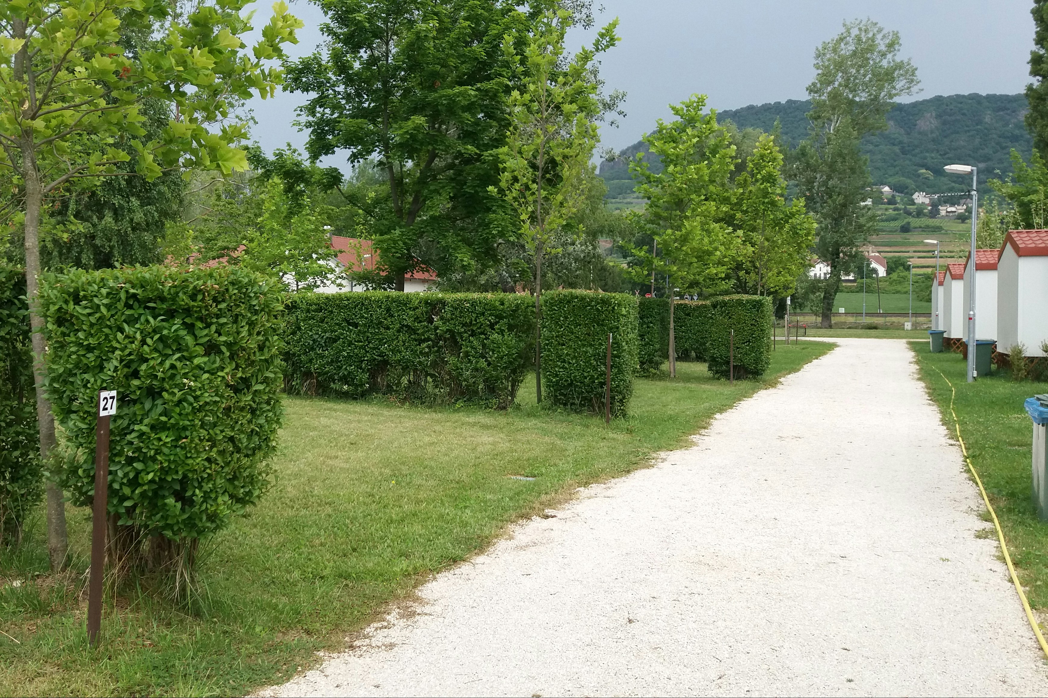 Badacsony Camping - durch Hecken und Bäume parzellierte Standplätze, die durch einen Weg von den Mobilheimen getrennt werden