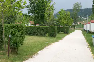 Badacsony Camping - durch Hecken und Bäume parzellierte Standplätze, die durch einen Weg von den Mobilheimen getrennt werden