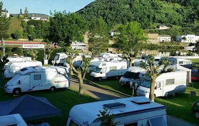 Bären-Camp