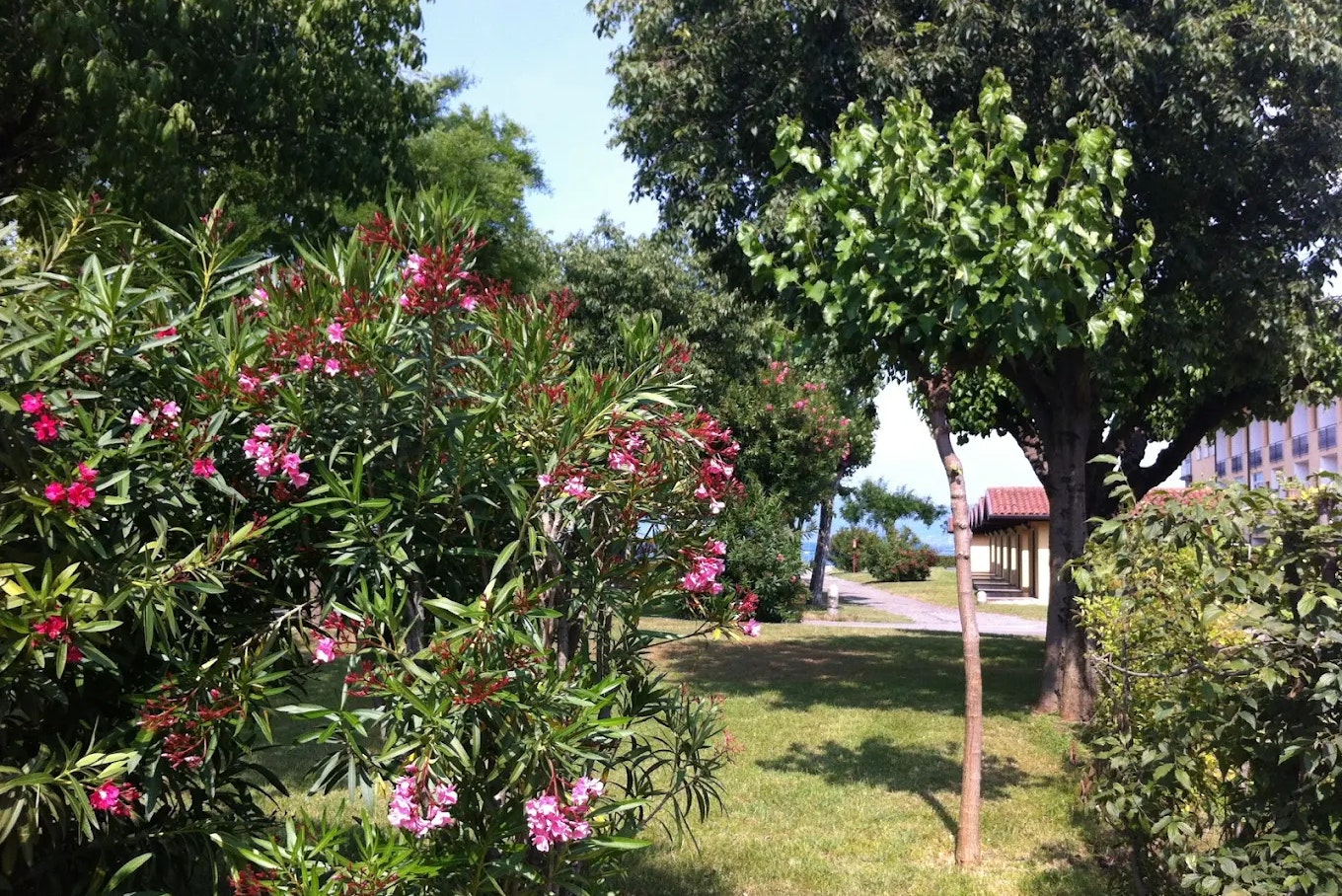 Baia Holiday Romantica a Lago - Blick auf die Blumen und Pflanzen auf dem Campingplatz