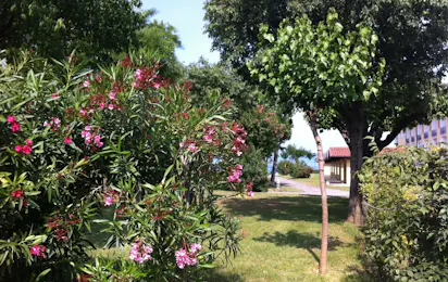 Baia Holiday Romantica a Lago