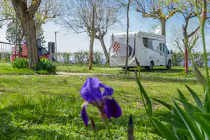 Baia Holiday Romantica a Lago - Standplätze im Grünen auf dem Campingplatz