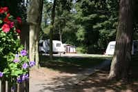 Balbirnie Park Caravan Club Site