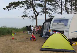 Ballen Strandcamping - Campingbereich für Zelte und Wohnwagen im Schatten der Bäume