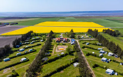 Ballum Camping