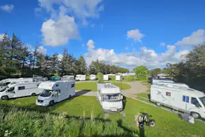 Wohnmobile auf einer Campingwiese, dazwischen ein Weg und Rasenflächen, im Hintergrund Bäume und ein heller Himmel.