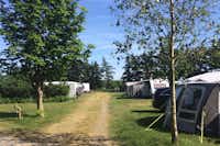 Ballum Camping - Wohnwagenstellplätze zwischen den Bäumen auf dem Campingplatz
