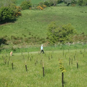 Ballyness Caravan Park