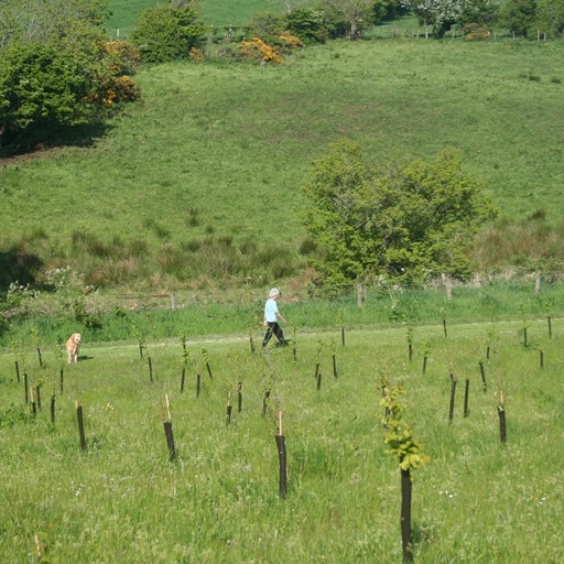 Ballyness Caravan Park