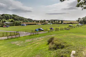 Campingwiese mit mehreren Zelten, Picknicktischen und geparkten Autos, umgeben von Hecken, Bäumen und einem Schotterweg.