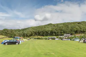 Campingwiese mit Zelten und Wohnwagen, Autos am Rand, im Hintergrund Bäume und ein Gebäude.