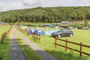 Zelte auf einem Campingplatz mit Schotterweg, Holzgeländern und geparkten Autos vor einem bewaldeten Hügel.