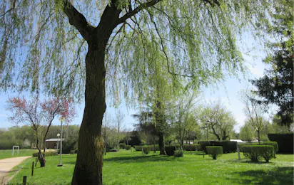 Camping des Dames des Meuse