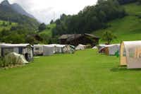 Bauernhof-Camping Wyler - Wohnwagen- und Zeltstellplatz auf dem Campingplatz