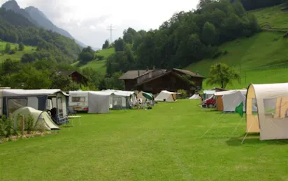 Bauernhof-Camping Wyler