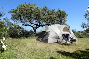 Bubulcus & Bolotas Camping - Zeltwiese im Grünen