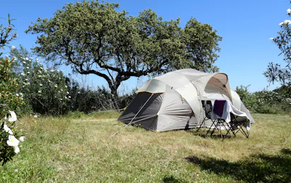 Bubulcus & Bolotas Camping