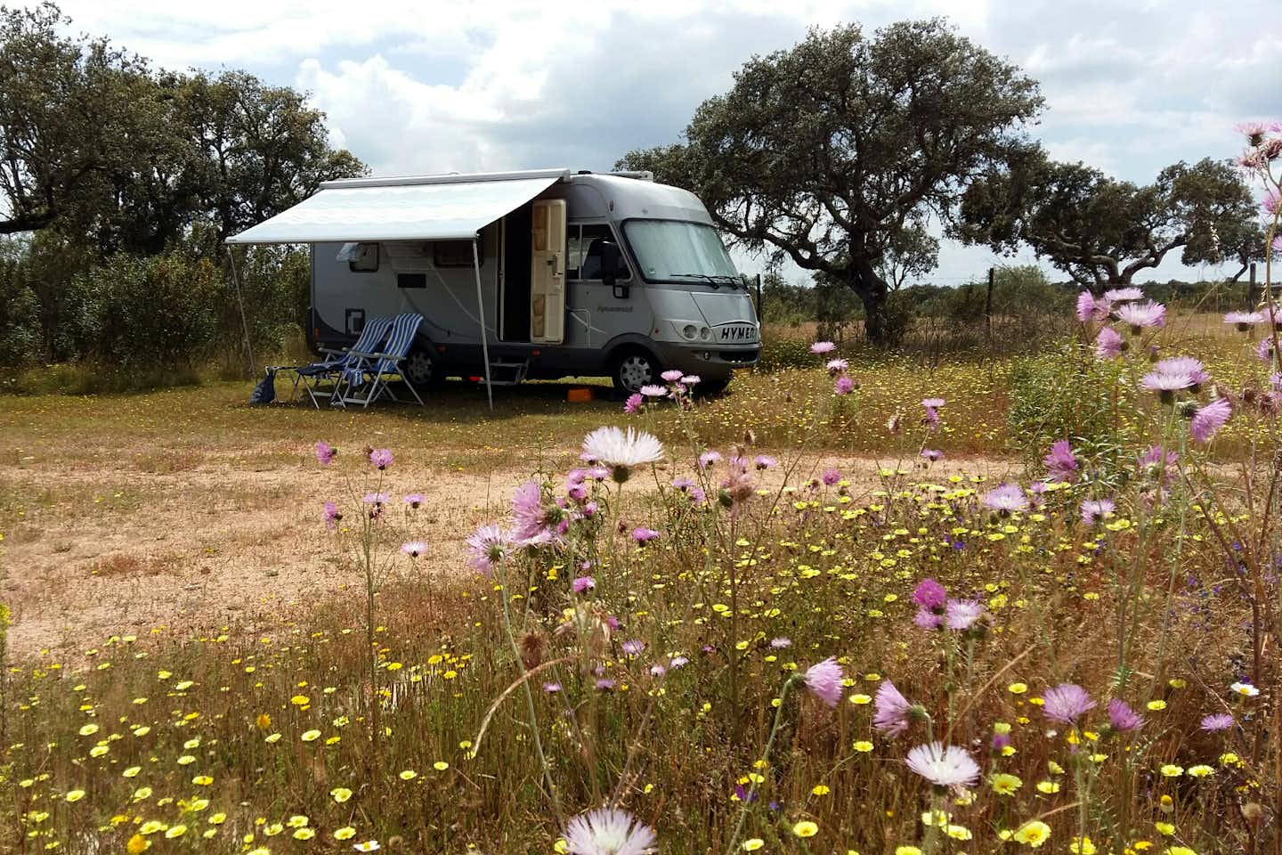 Bubulcus & Bolotas Camping - Stellplätze und Blumen